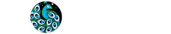 Amirtha Boutique